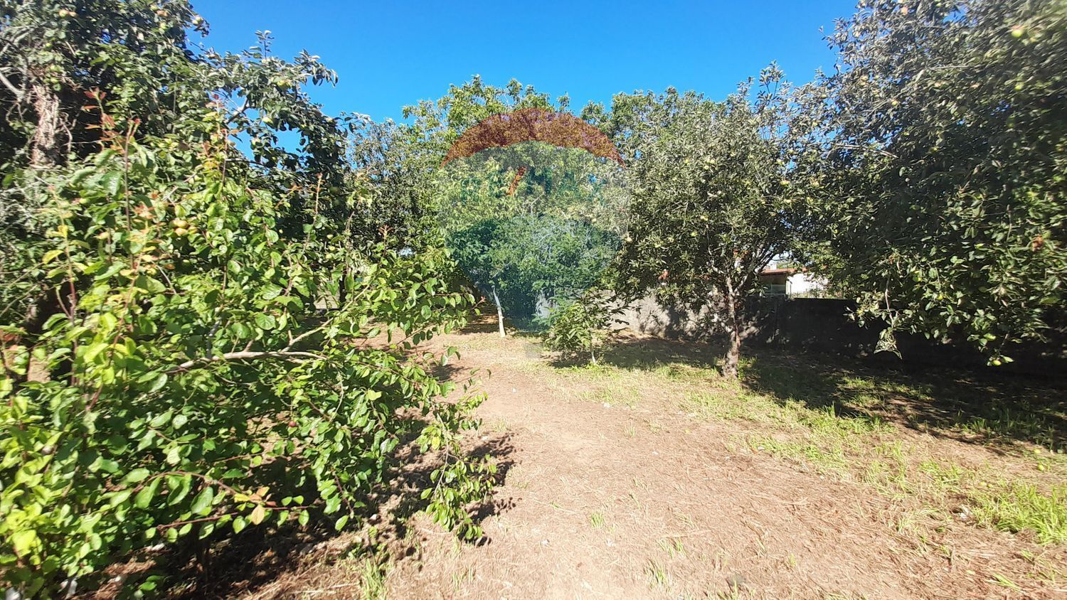 Fincas y solares-Venta-Sada-2419631-Foto-11