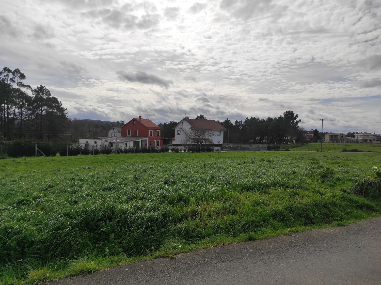 Fincas y solares-Venta-A Laracha-2419646-Foto-8