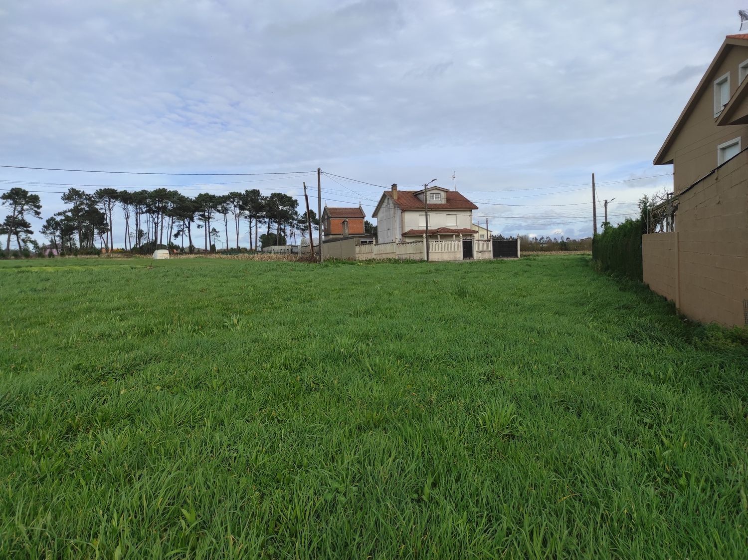 Fincas y solares-Venta-A Laracha-2419646-Foto-15