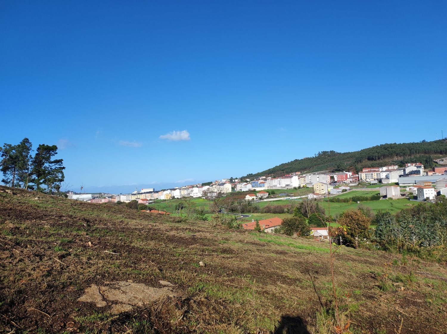 Fincas y solares-Venta-Arteixo-2419658-Foto-20