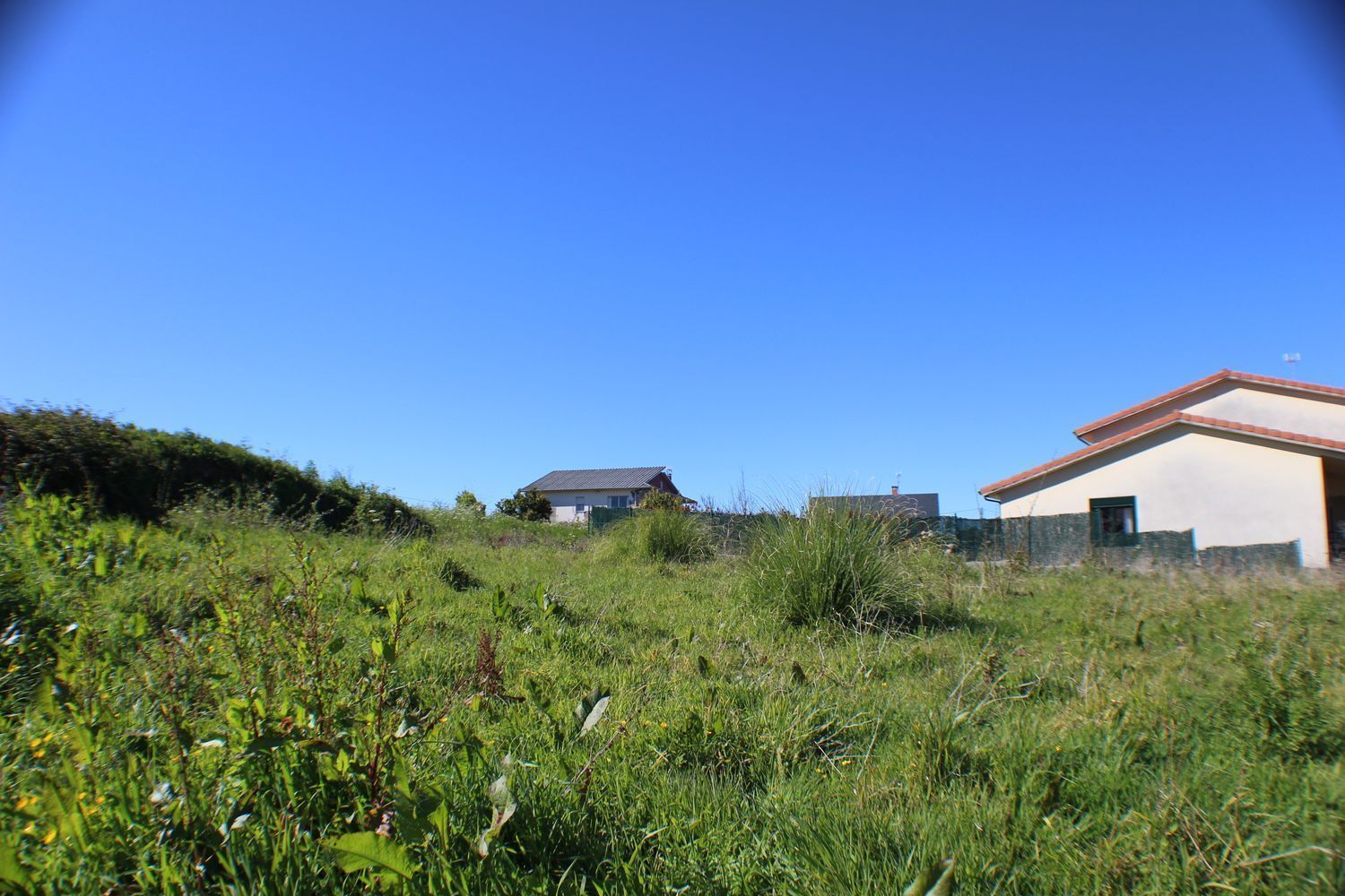 Fincas y solares-Venta-Sada-2419664-Foto-5