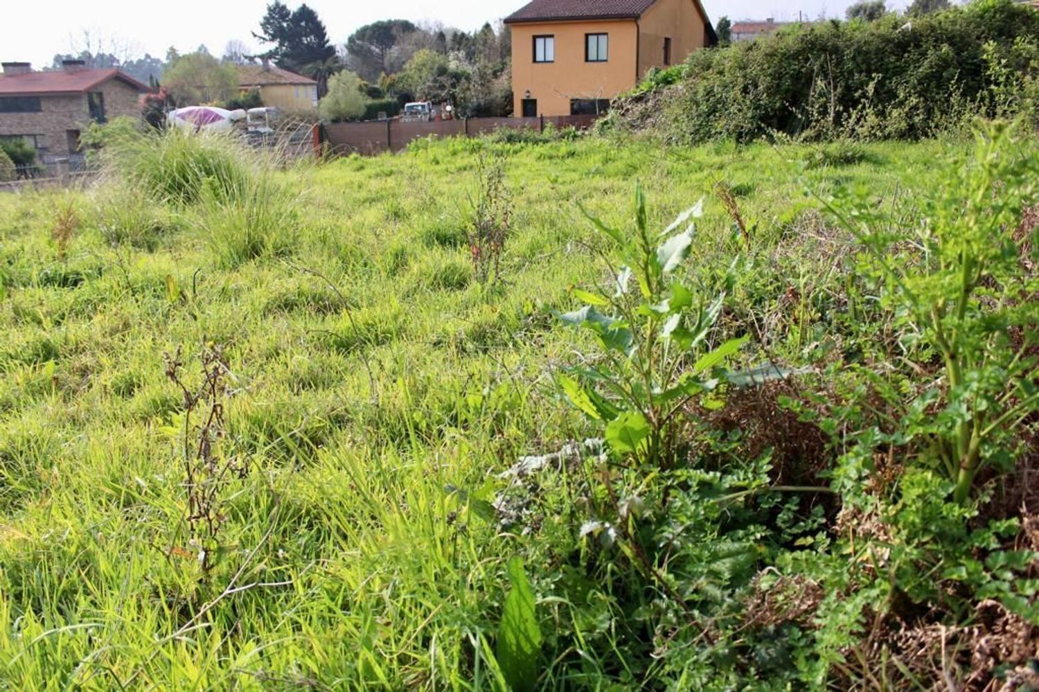 Fincas y solares-Venta-Sada-2419664-Foto-7