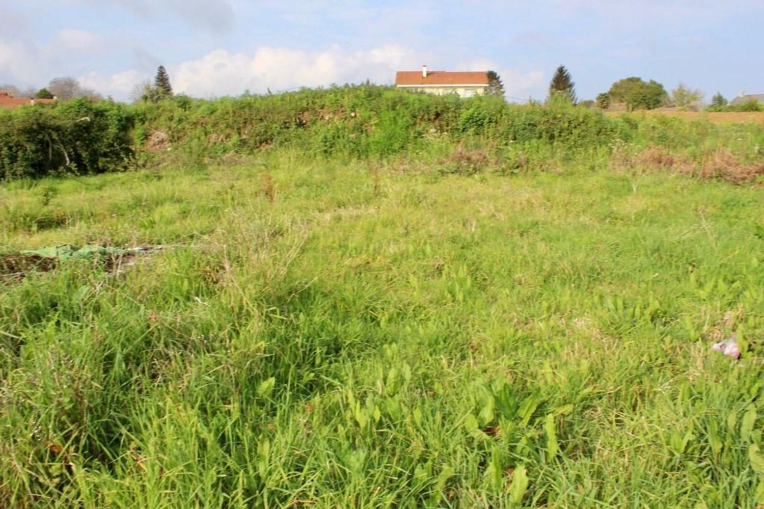 Fincas y solares-Venta-Sada-2419664-Foto-14