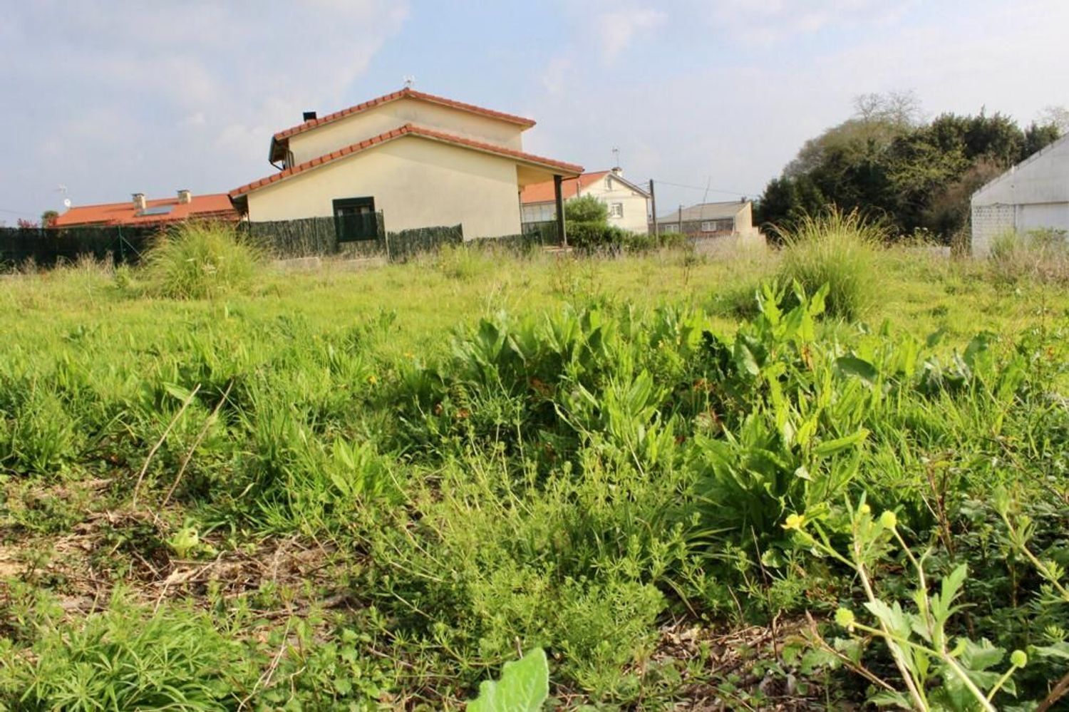 Fincas y solares-Venta-Sada-2419664-Foto-19