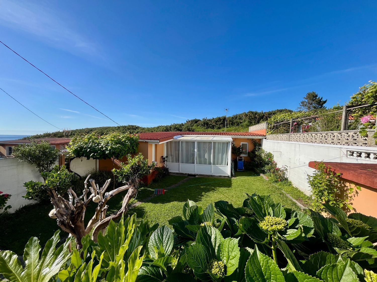 Casas o chalets-Venta-2419670