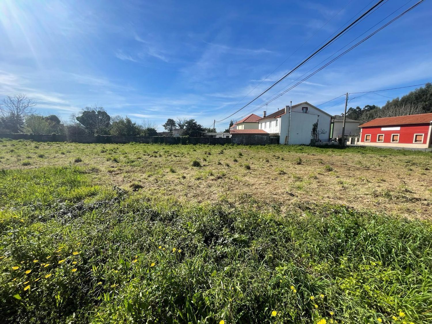 Fincas y solares-Venta-ValdoviÃ±o-2419673-Foto-3