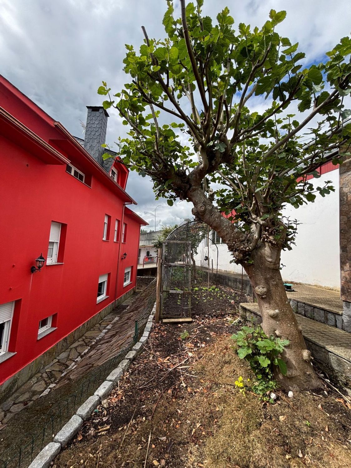 Casas o chalets-Venta-Culleredo-2419727-Foto-9