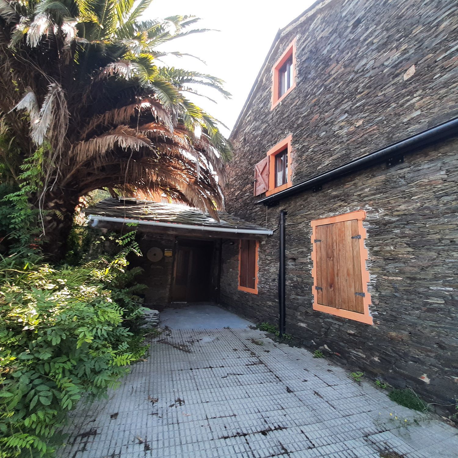 Casas o chalets-Venta-MaÃ±Ã³n-2419760-Foto-6