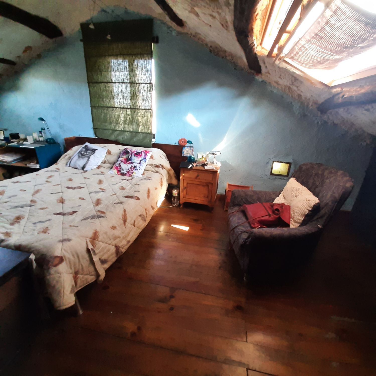 Casas o chalets-Venta-MaÃ±Ã³n-2419760-Foto-17