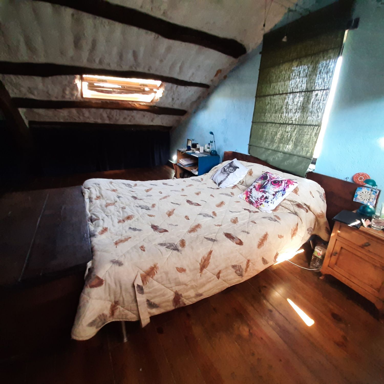 Casas o chalets-Venta-MaÃ±Ã³n-2419760-Foto-18