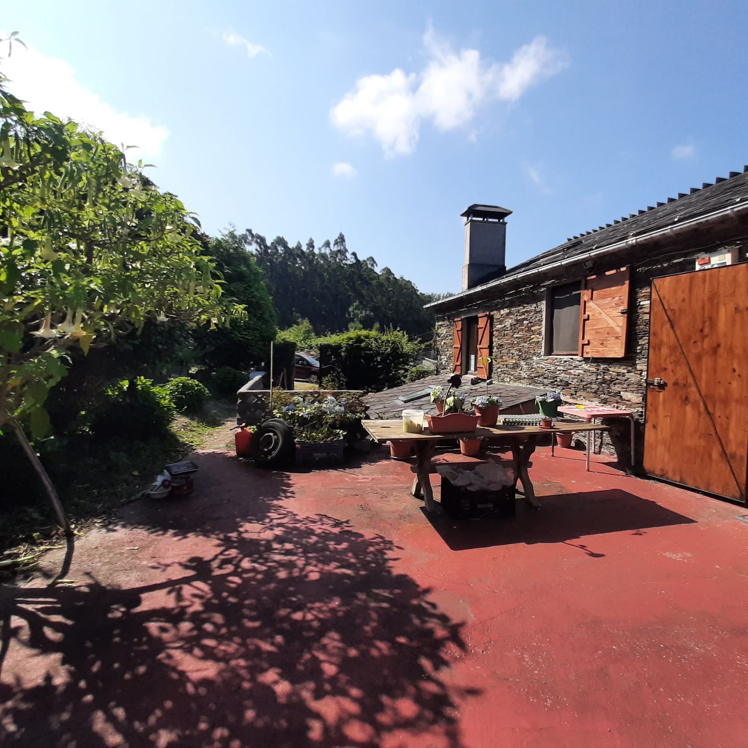 Casas o chalets-Venta-MaÃ±Ã³n-2419760-Foto-23