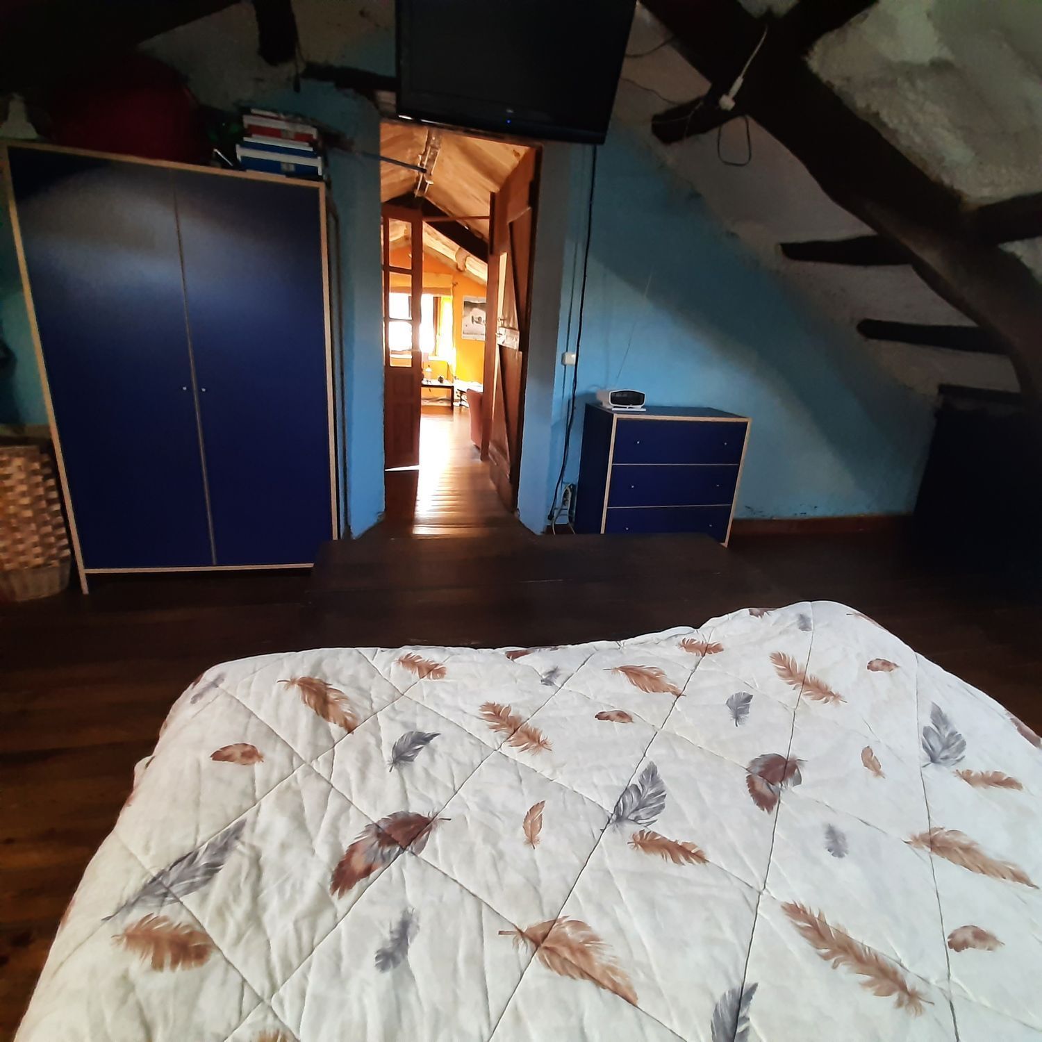 Casas o chalets-Venta-MaÃ±Ã³n-2419760-Foto-19