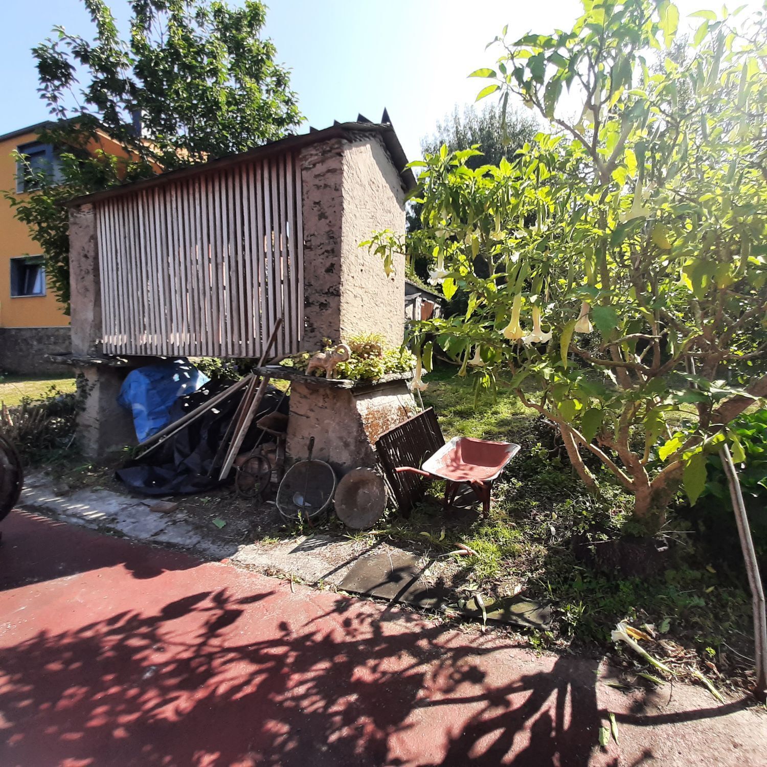 Casas o chalets-Venta-MaÃ±Ã³n-2419760-Foto-21