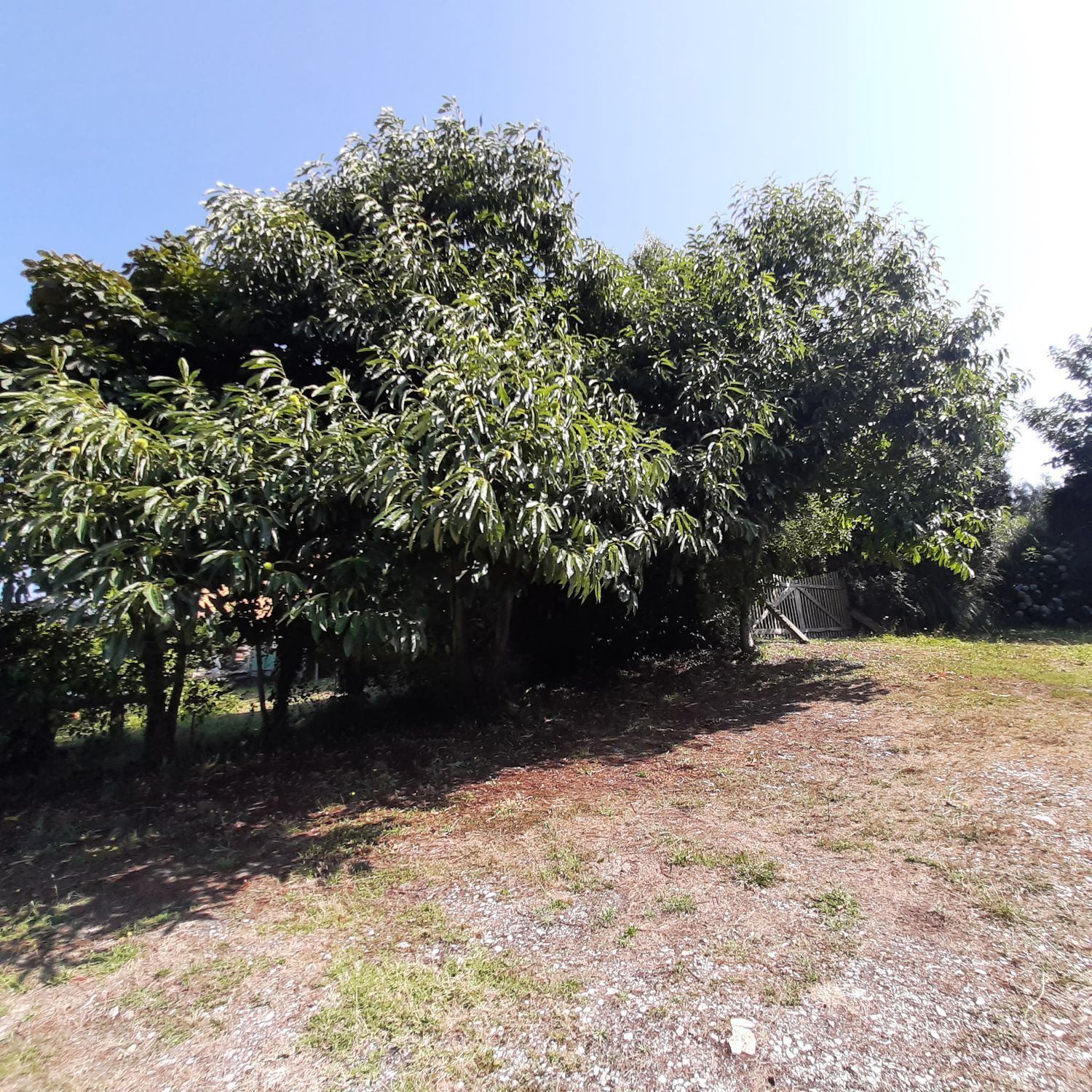 Casas o chalets-Venta-MaÃ±Ã³n-2419760-Foto-26