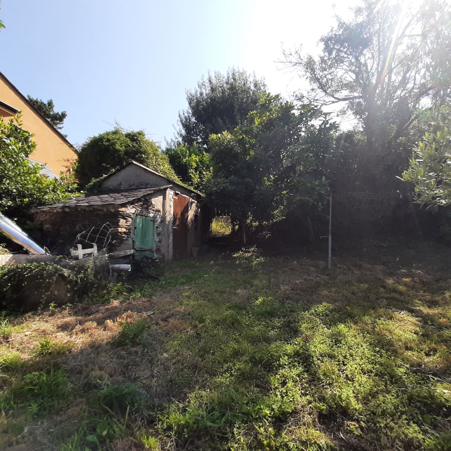 Casas o chalets-Venta-MaÃ±Ã³n-2419760-Foto-24