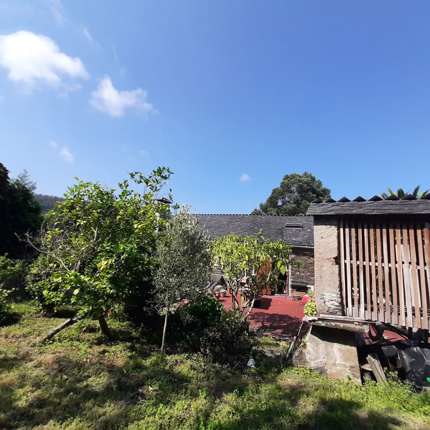 Casas o chalets-Venta-MaÃ±Ã³n-2419760-Foto-25