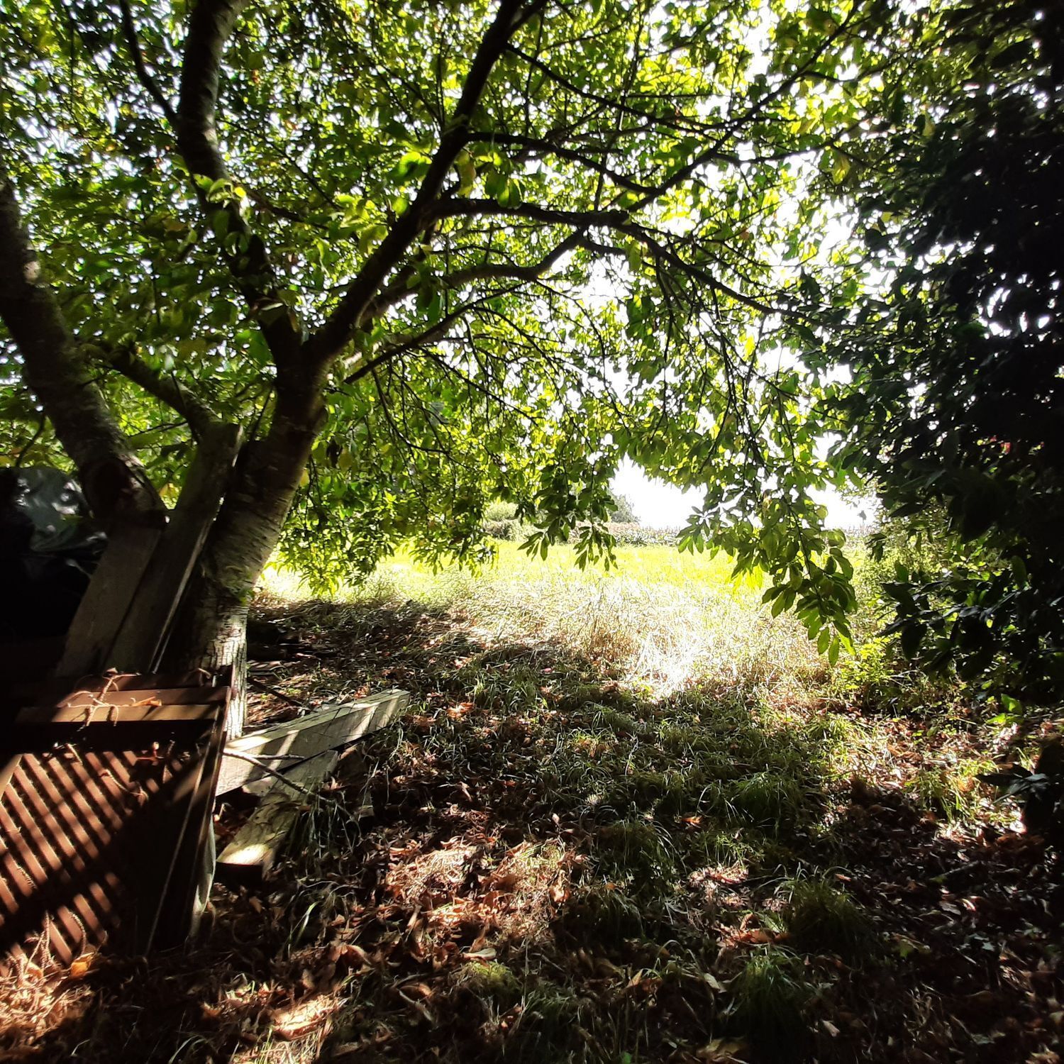 Casas o chalets-Venta-MaÃ±Ã³n-2419760-Foto-29