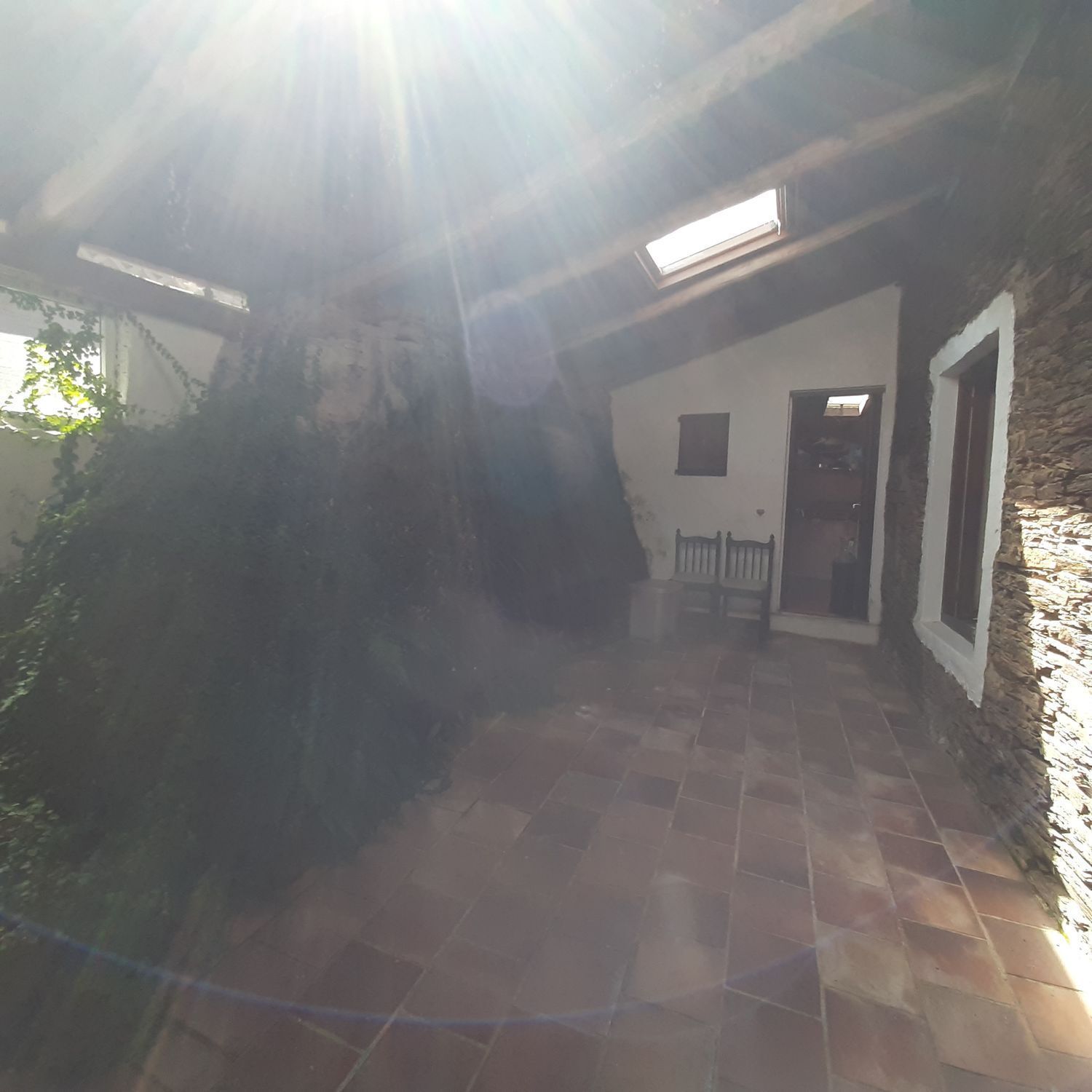 Casas o chalets-Venta-MaÃ±Ã³n-2419760-Foto-37