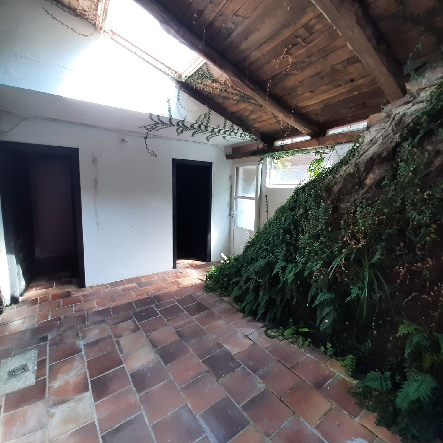 Casas o chalets-Venta-MaÃ±Ã³n-2419760-Foto-40