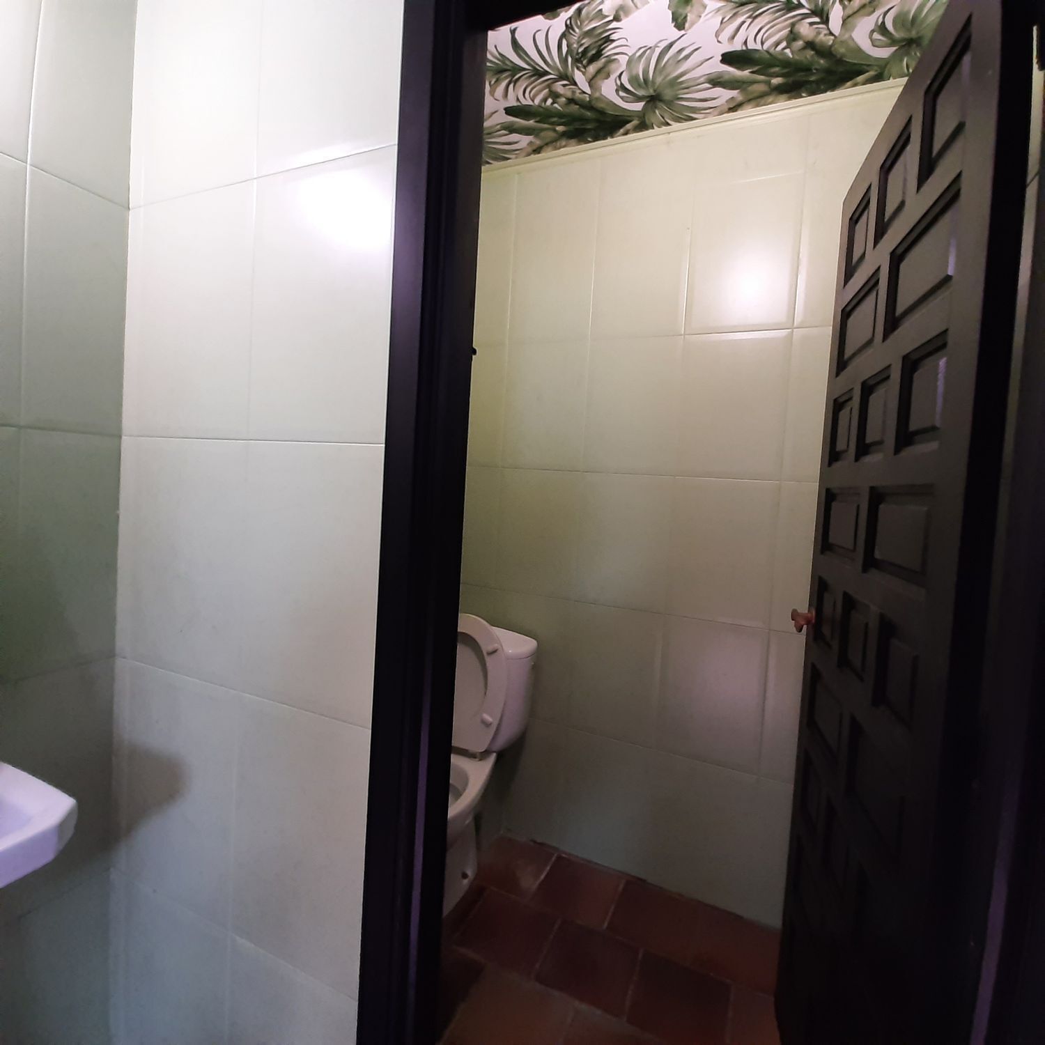 Casas o chalets-Venta-MaÃ±Ã³n-2419760-Foto-42