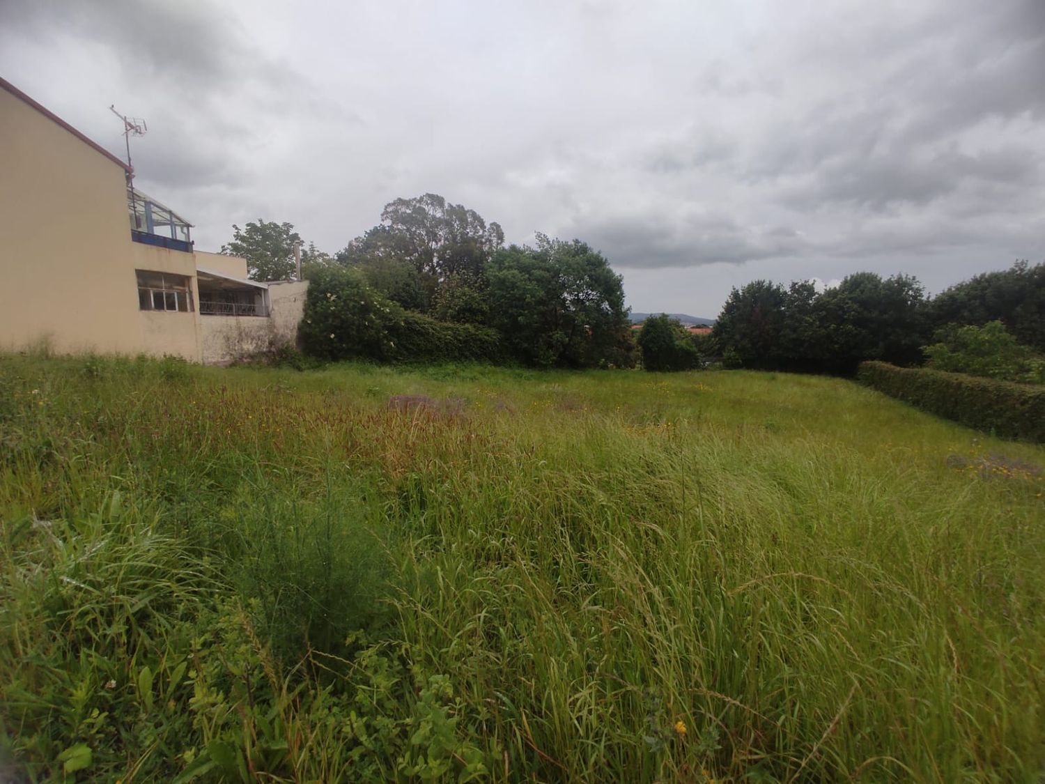 Fincas y solares-Venta-Ferrol-2419784-Foto-2