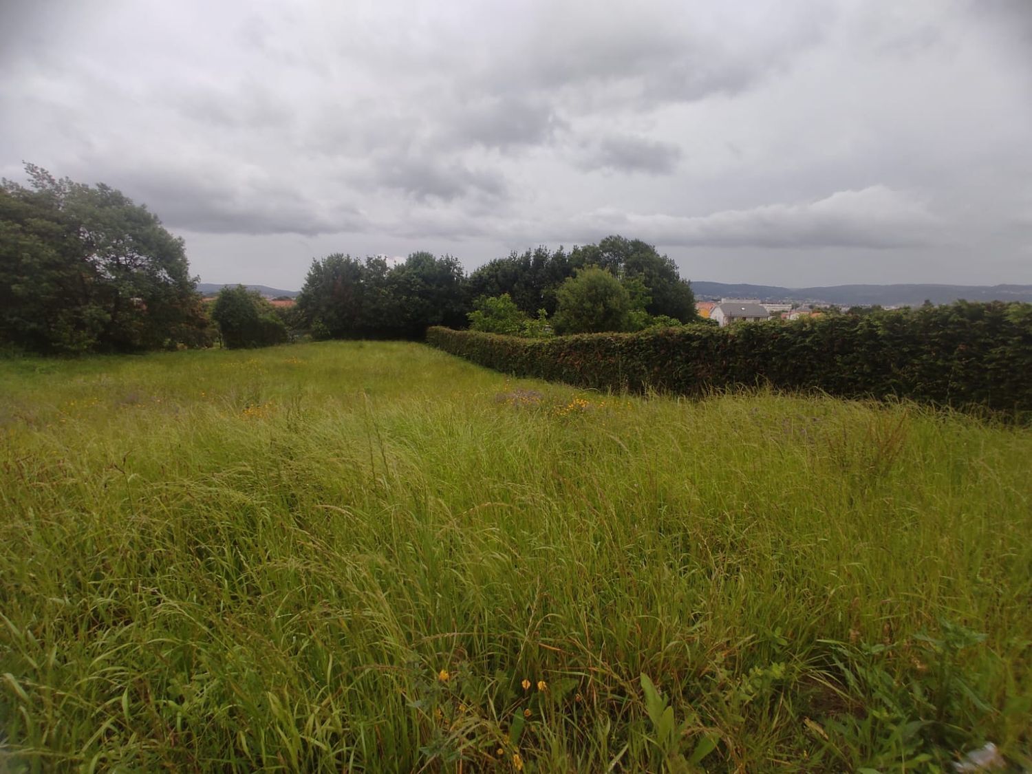 Fincas y solares-Venta-Ferrol-2419784-Foto-3