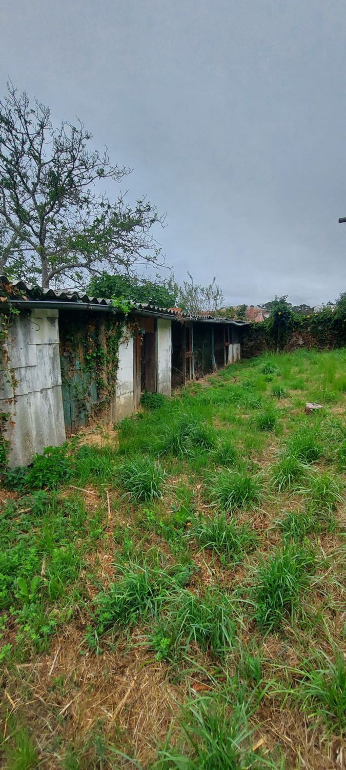 Pisos-Venta-Fene-2419796-Foto-15