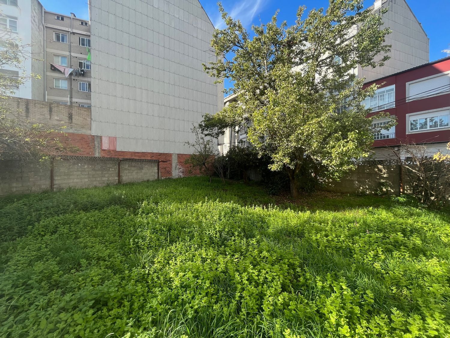 Fincas y solares-Venta-Ferrol-2419823-Foto-4