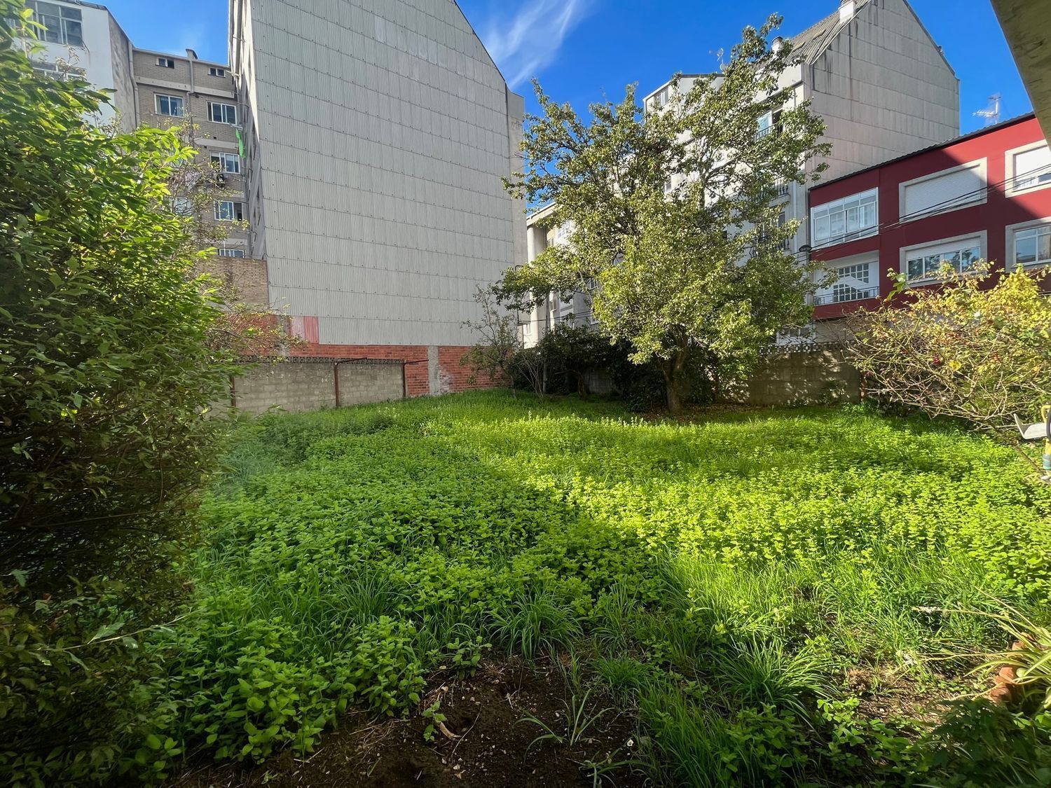 Fincas y solares-Venta-2419823