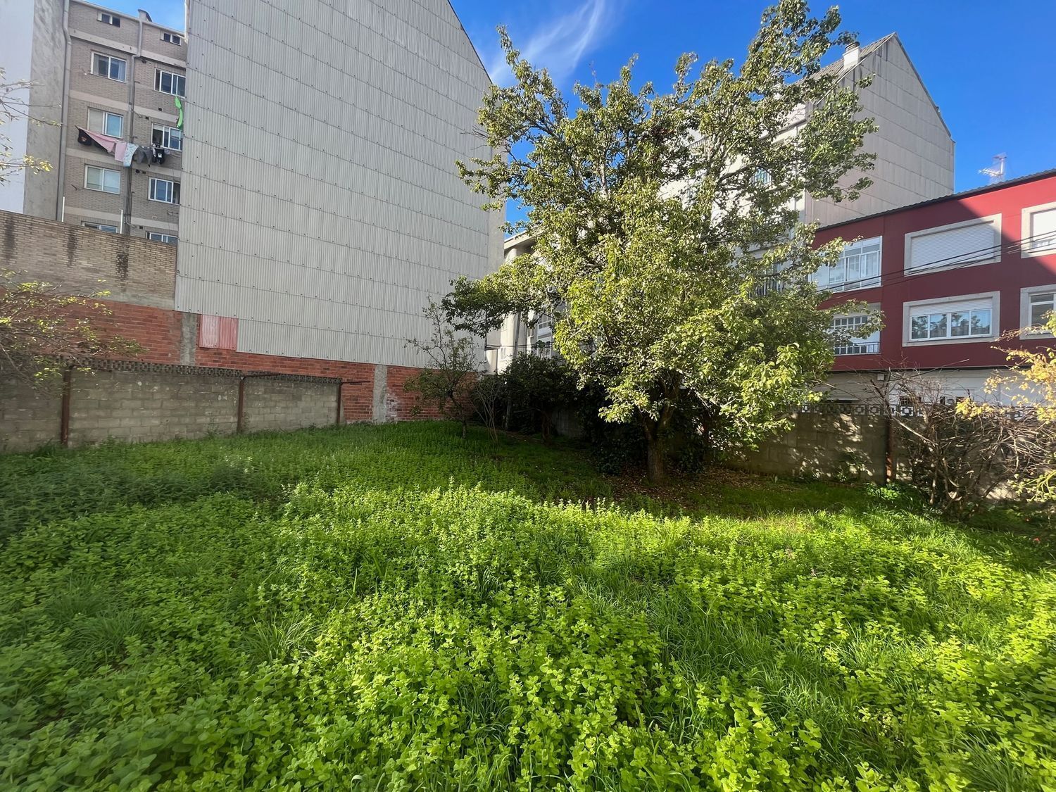 Fincas y solares-Venta-Ferrol-2419823-Foto-2