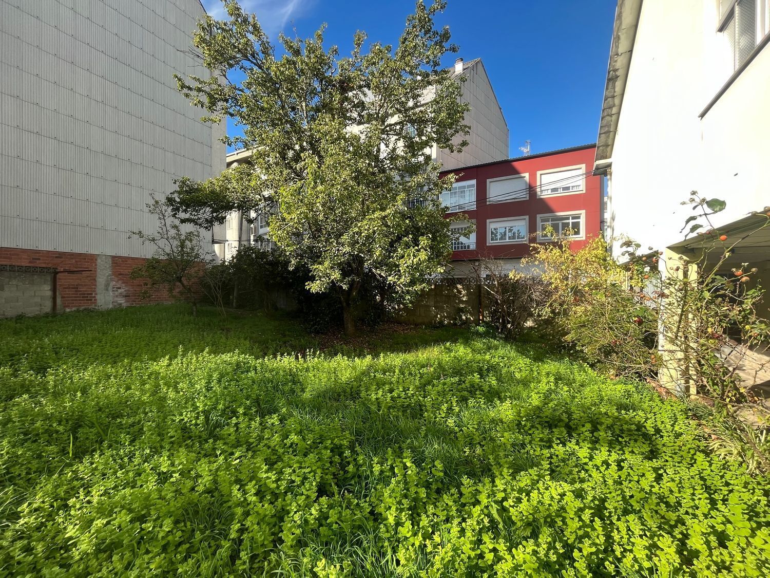 Fincas y solares-Venta-Ferrol-2419823-Foto-3