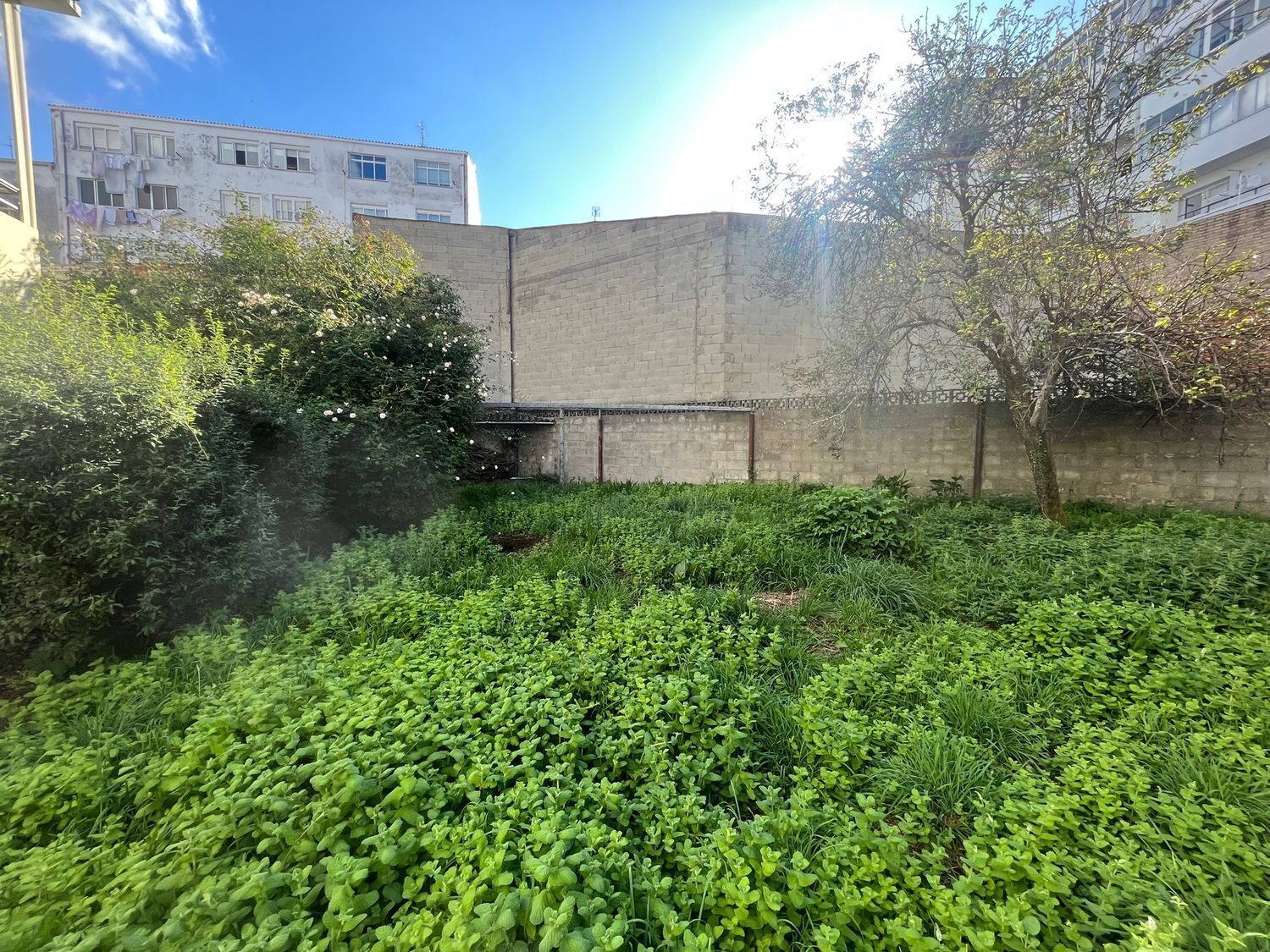 Fincas y solares-Venta-Ferrol-2419823-Foto-5