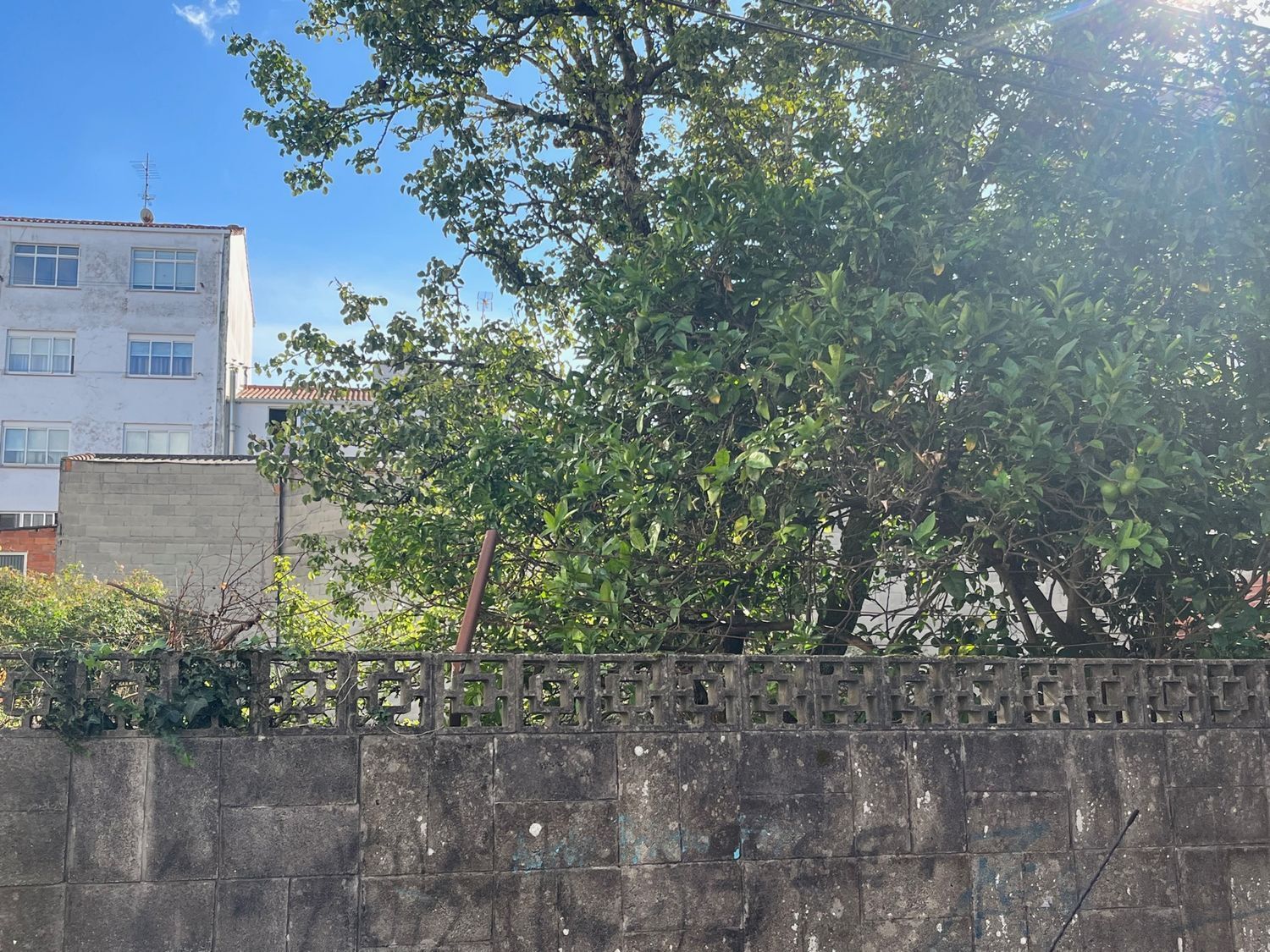 Fincas y solares-Venta-Ferrol-2419823-Foto-6