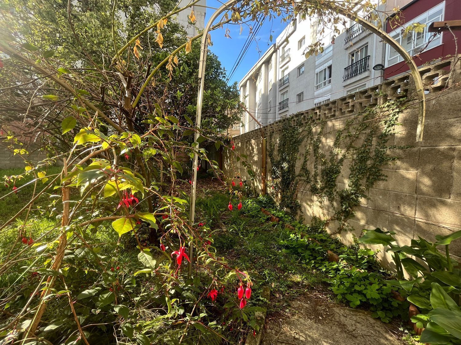 Fincas y solares-Venta-Ferrol-2419823-Foto-9