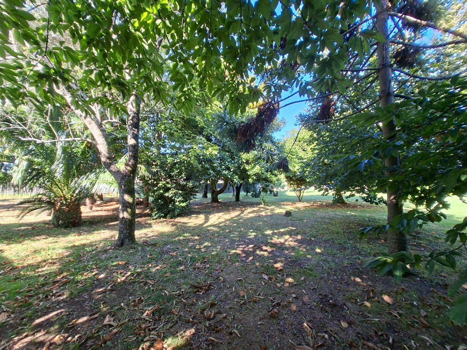 Casas o chalets-Venta-VilagarcÃ­a de Arousa-2419832-Foto-4