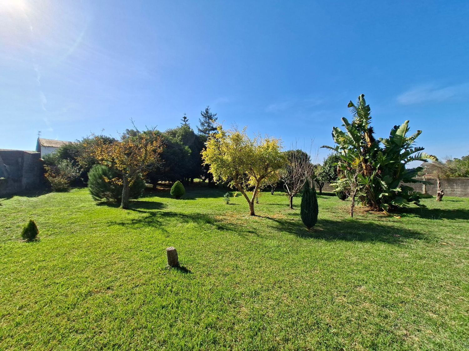 Casas o chalets-Venta-VilagarcÃ­a de Arousa-2419832-Foto-6