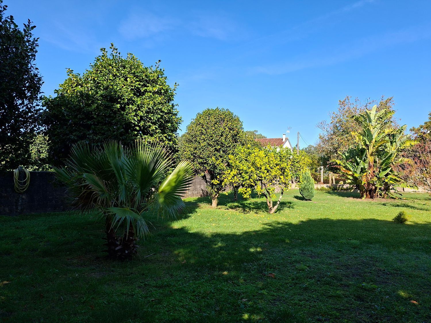 Casas o chalets-Venta-VilagarcÃ­a de Arousa-2419832-Foto-35