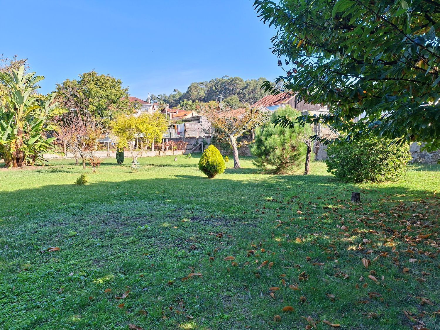 Casas o chalets-Venta-VilagarcÃ­a de Arousa-2419832-Foto-37