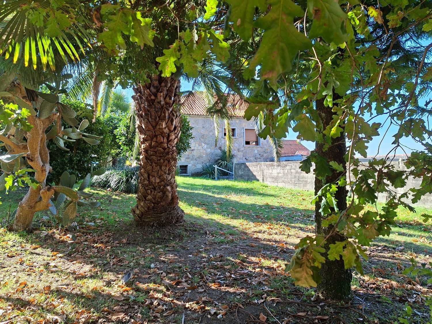 Casas o chalets-Venta-VilagarcÃ­a de Arousa-2419832-Foto-36