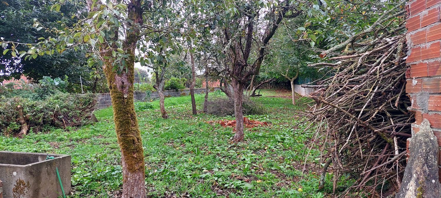 Casas o chalets-Venta-Vilalba-2419859-Foto-2