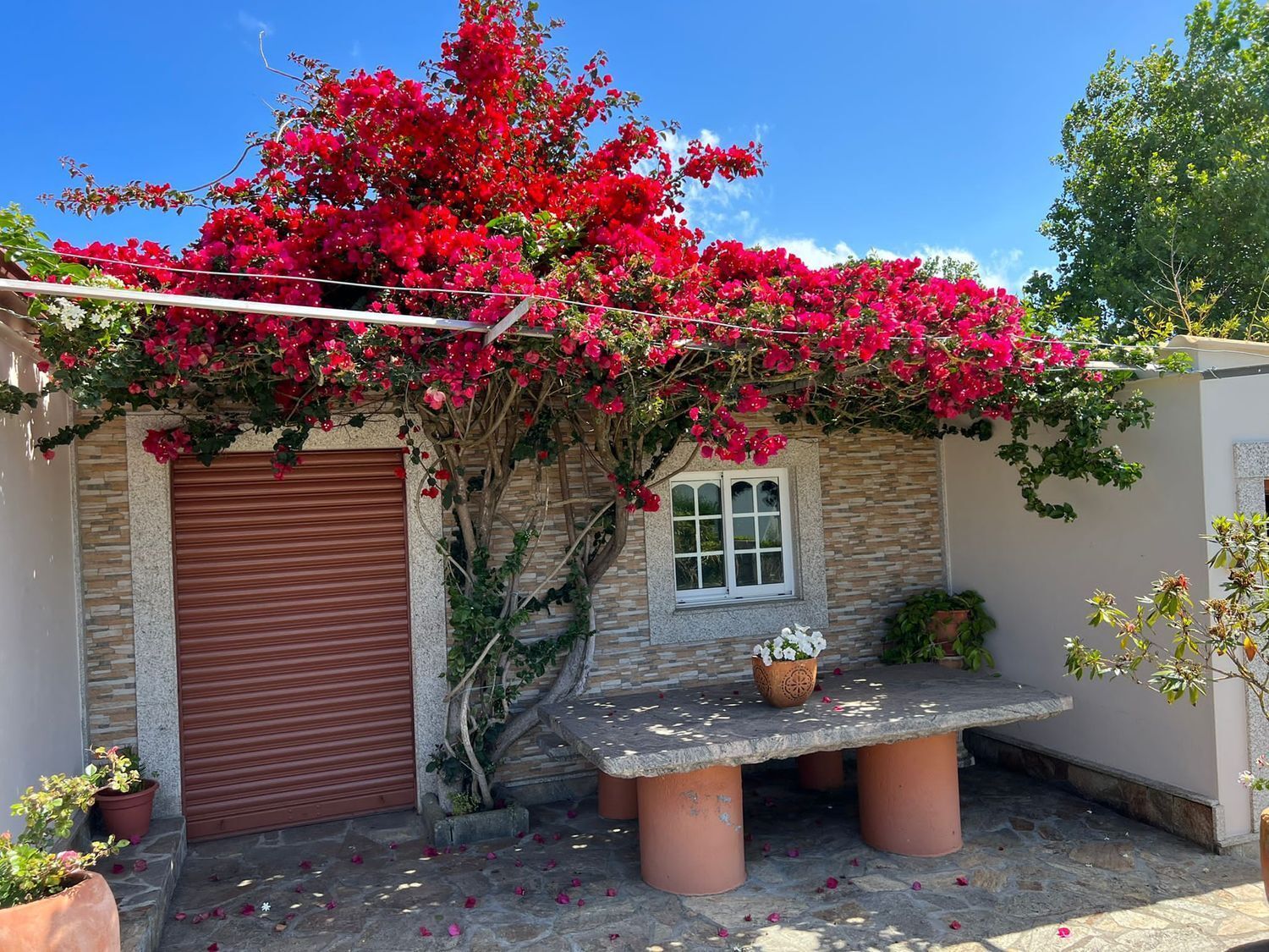 Casas o chalets-Venta-Ferrol-2419865-Foto-6