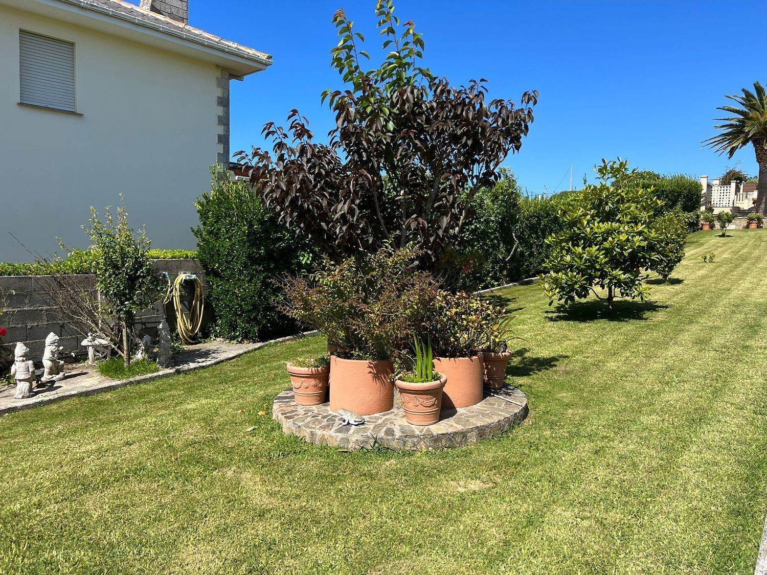 Casas o chalets-Venta-Ferrol-2419865-Foto-57