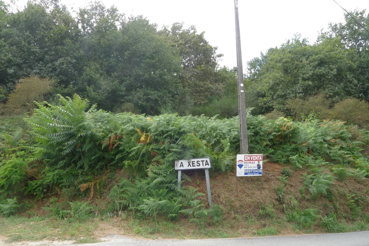 Fincas y solares-Venta-2419868
