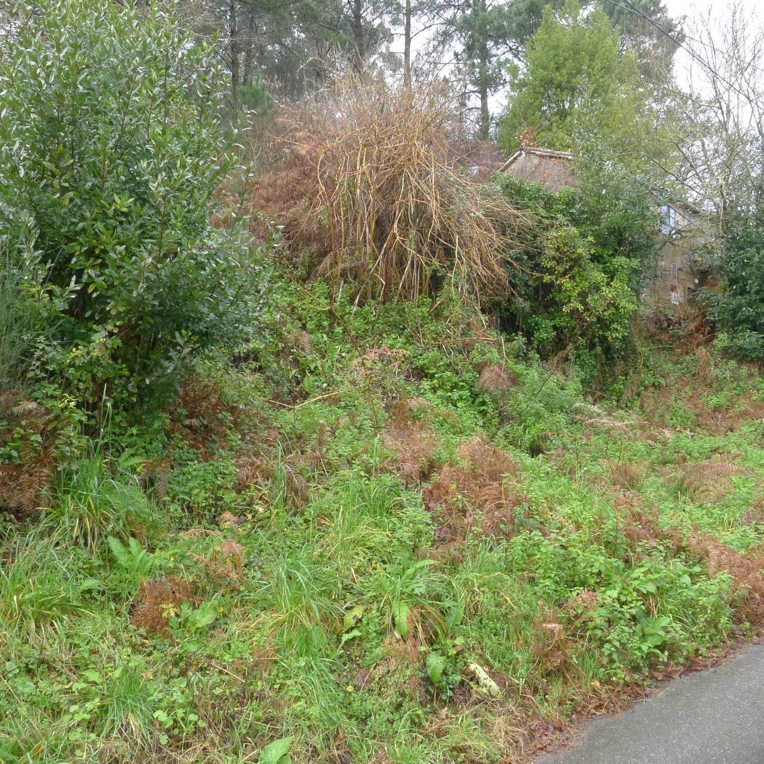 Fincas y solares-Venta-Teo-2419868-Foto-9