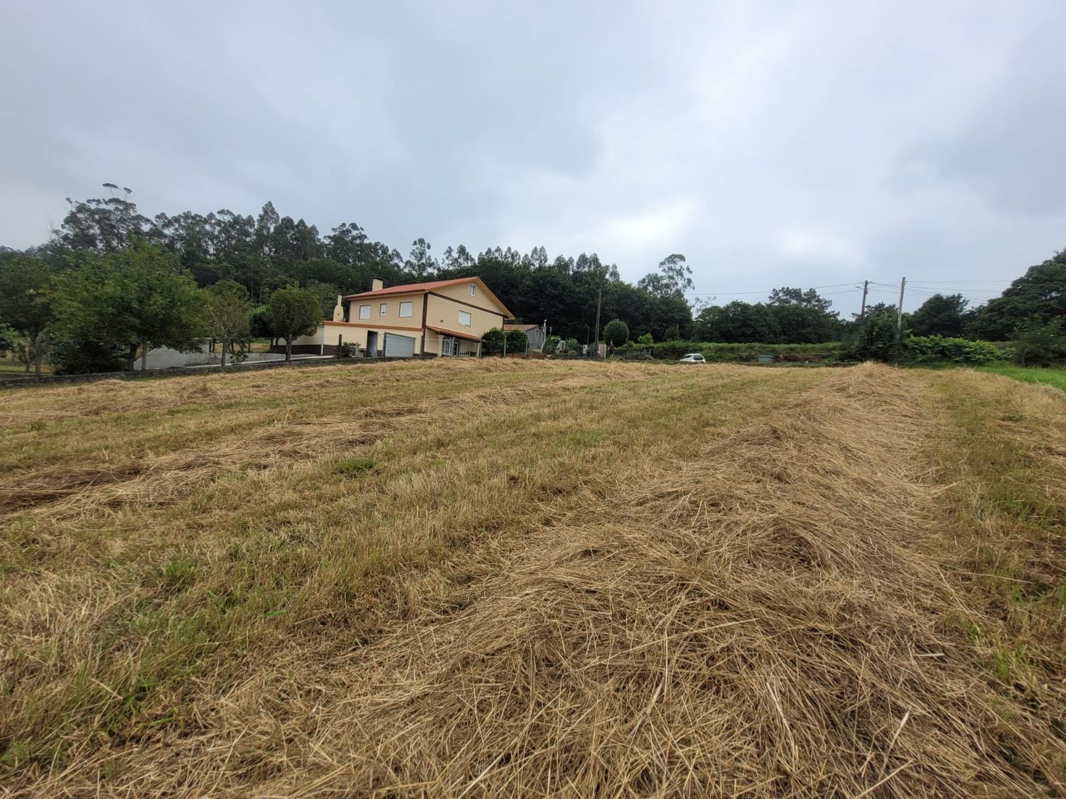 Fincas y solares-Venta-A BaÃ±a-2419904-Foto-2
