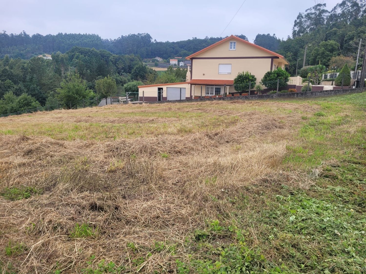 Fincas y solares-Venta-A BaÃ±a-2419904-Foto-8