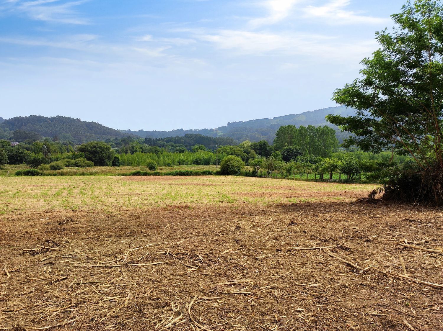 Fincas y solares-Venta-Culleredo-2419919-Foto-4