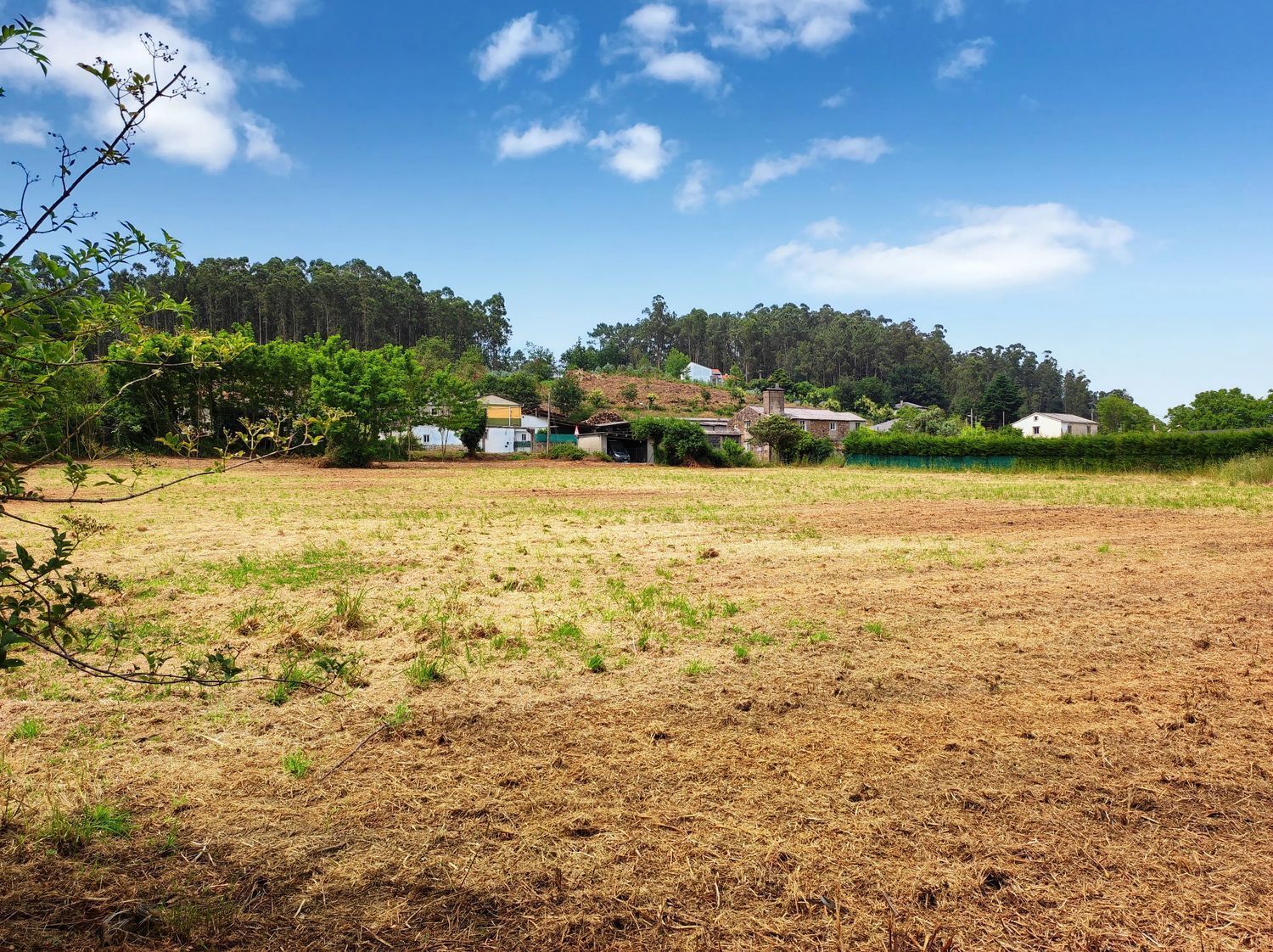 Fincas y solares-Venta-Culleredo-2419919-Foto-7