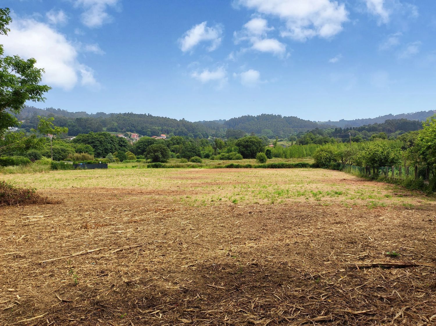 Fincas y solares-Venta-Culleredo-2419919-Foto-3