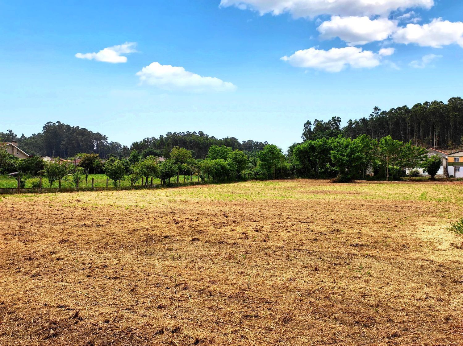 Fincas y solares-Venta-Culleredo-2419919-Foto-5